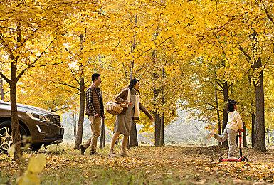 消息称三星得州工厂推迟接收EUV 没有订单